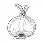 קווי מתאר של בצל אחד עם שכבות ברורות ופרטי שורש, מוכן לצביעה.