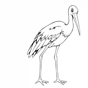 דף צביעה בשחור ולבן של חסידה חמודה לספר צביעה.