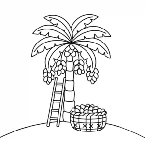דף צביעה פשוט בקווי מתאר המציג עץ תמר, סולם וסלסילת תמרים בשלים, מוכן לצביעה.