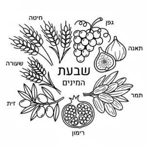 דף צביעה בניגודיות גבוהה של פירות שבעת המינים (ענבים, תאנים, תמרים, זיתים, רימונים) ודגנים לט"ו בשבט.