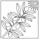 דף צביעה פשוט – תקריב של ענף זית עם עלים וזיתים גדולים, בקווי מתאר עבים.